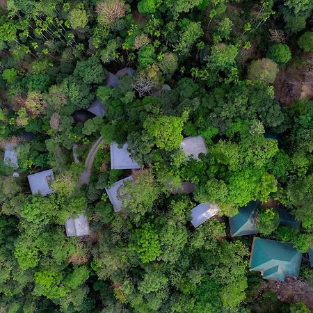 Отель The Hive, Ваянад Экстерьер фото