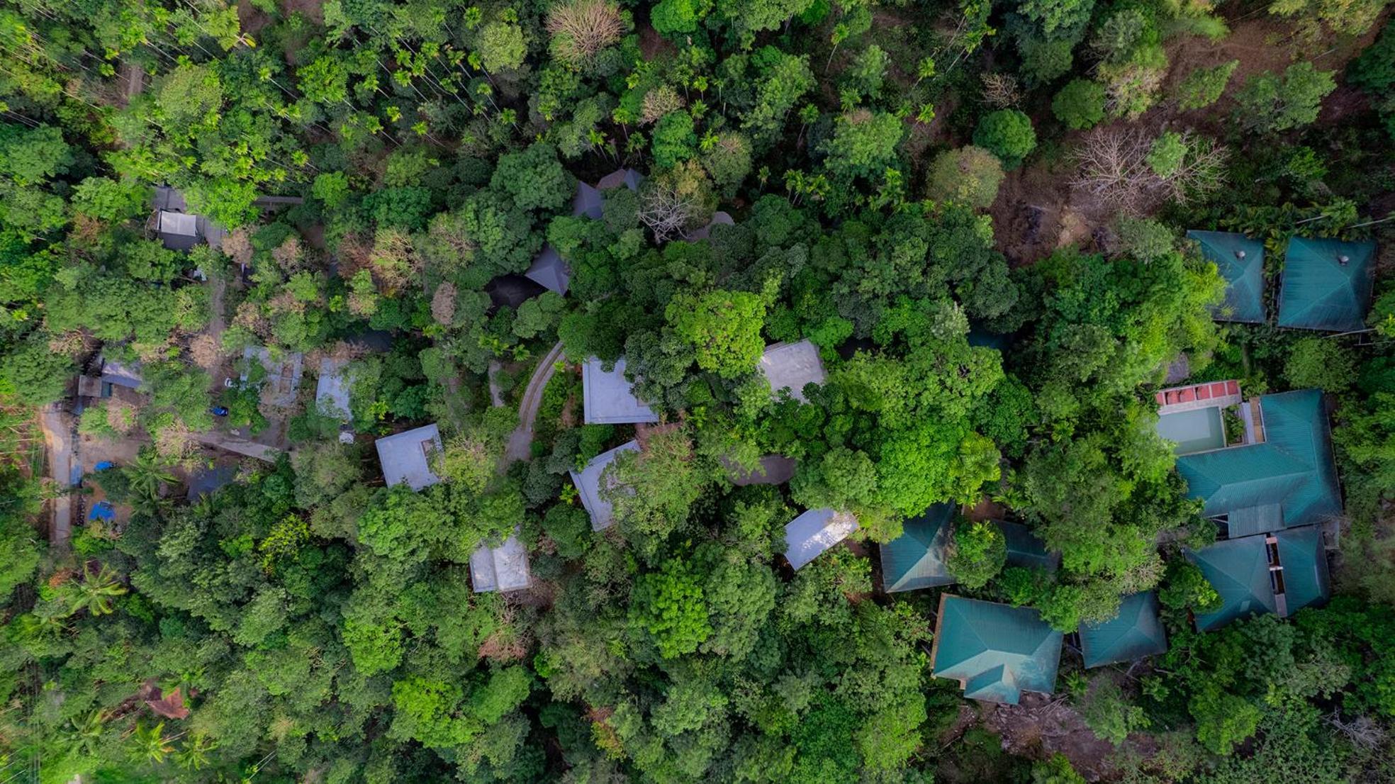 Отель The Hive, Ваянад Экстерьер фото